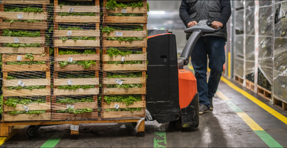 Handling Processes Motors For Materials Handling Equipment | Parvalux